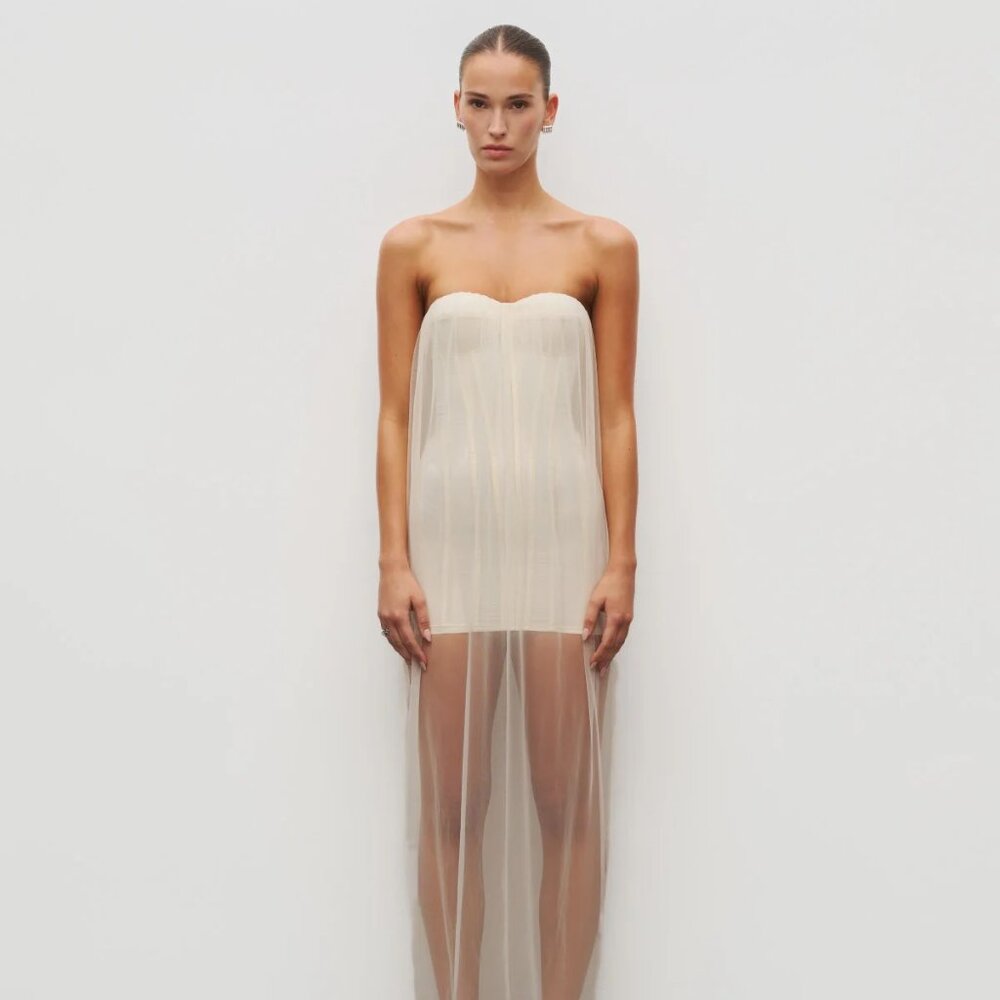 Heiress Beverly Hills - The Sheer Corset Dress (size Small)